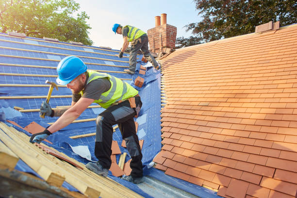 Best Roof Waterproofing  in Enigma, GA